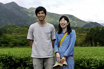 Jardin de thé bio de la famille Watanabe, Yakushima, Japon